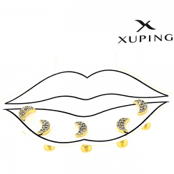 KOLCZYK POZŁACANY 6/4 MM 1 SZTUKA S.STEEL TTM PIERCING XUPING 88996