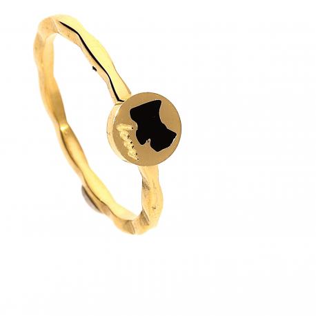 PIERŚCIONEK POZŁACANY 6MM LOVE DOG S. STEEL TTM XUPING 21832